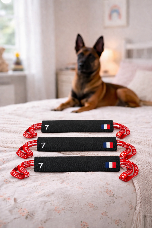 Pack 3 Boudins